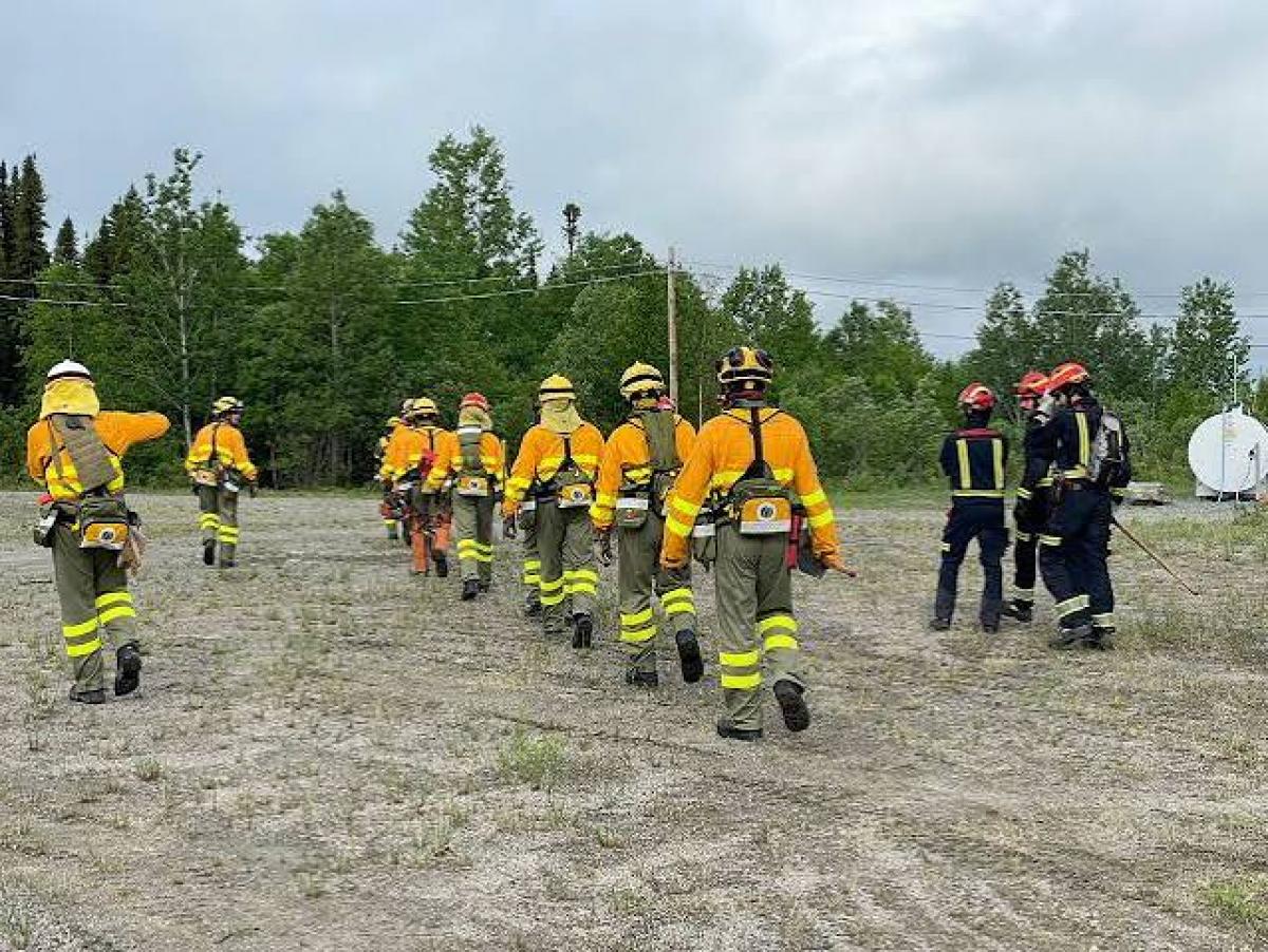 Bomberos forestales